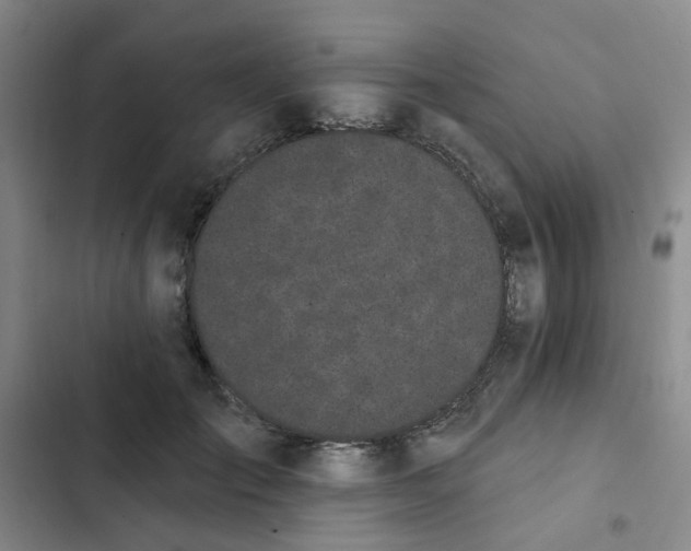 X0000102490701200808221731