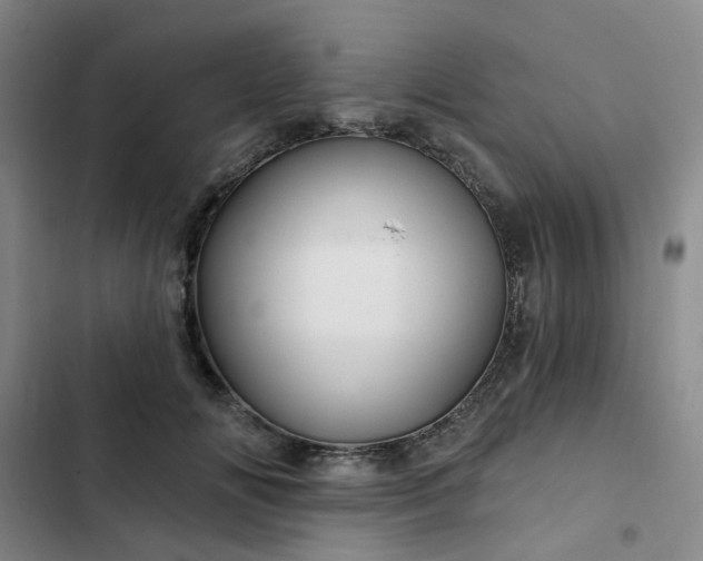 X0000102490702200808221731