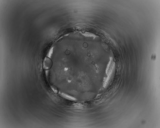 X0000102490703200808221731