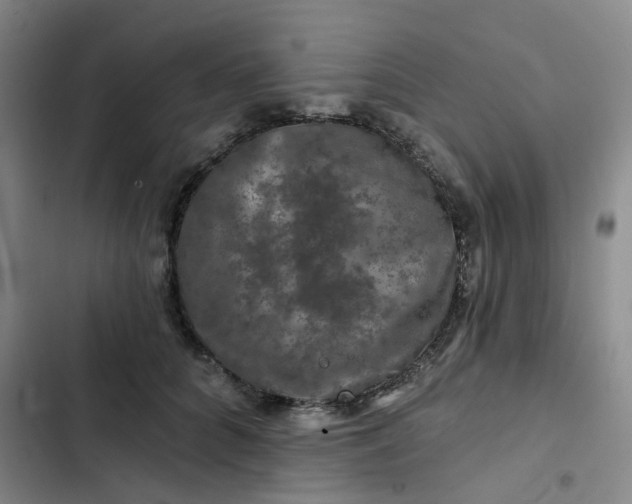 X0000102490704200808221731