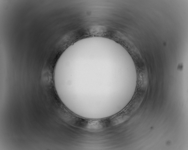 X0000102490705200808221731