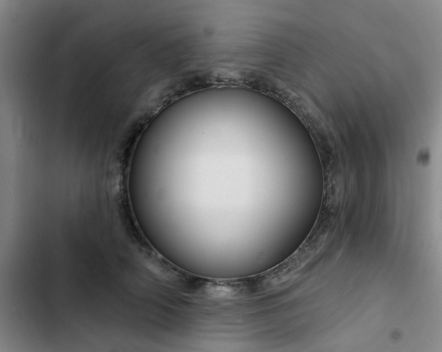 X0000102490706200808221731