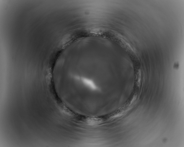 X0000102490707200808221731