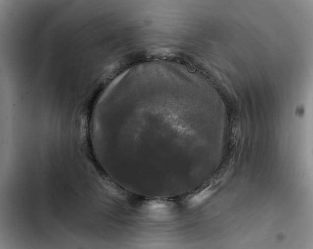 X0000102490708200808221731