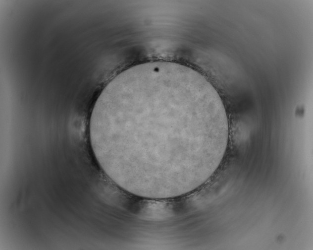 X0000102490709200808221731