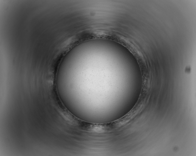 X0000102490710200808221731