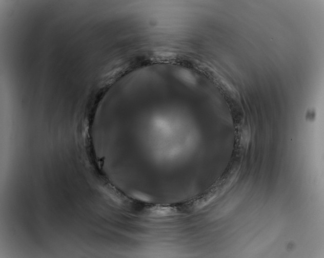 X0000102490711200808221731