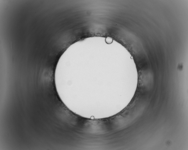 X0000102490713200808221731