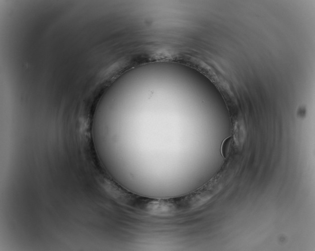 X0000102490714200808221731