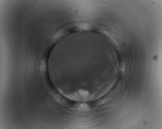 X0000102490715200808221731