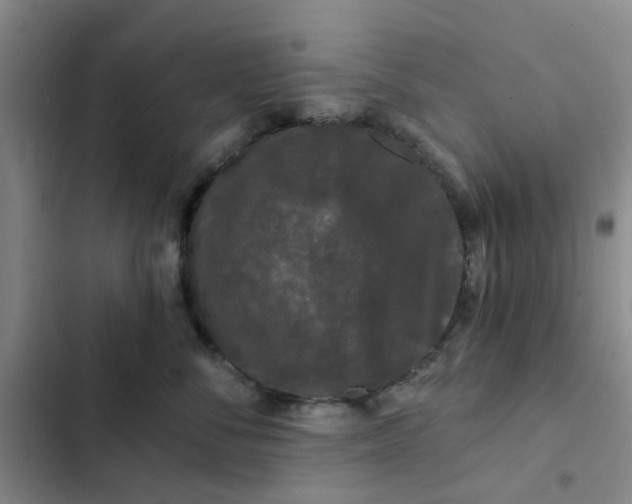 X0000102490716200808221731