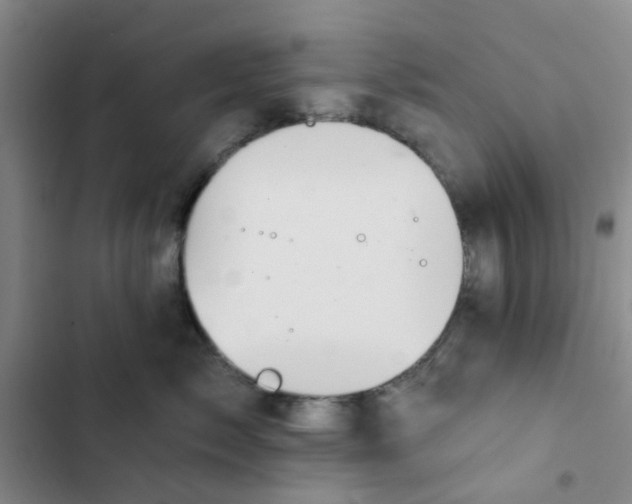 X0000102490717200808221731