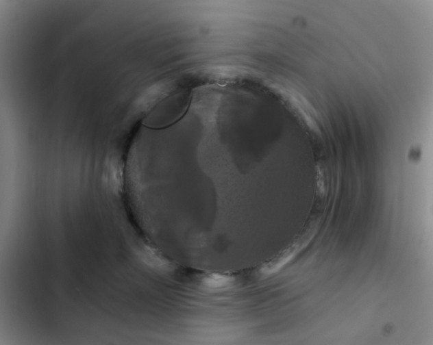 X0000102490718200808221730