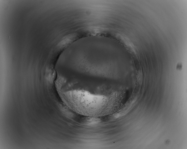 X0000102490719200808221730