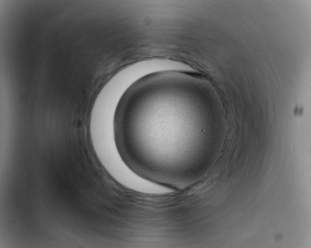 X0000102490720200808221730