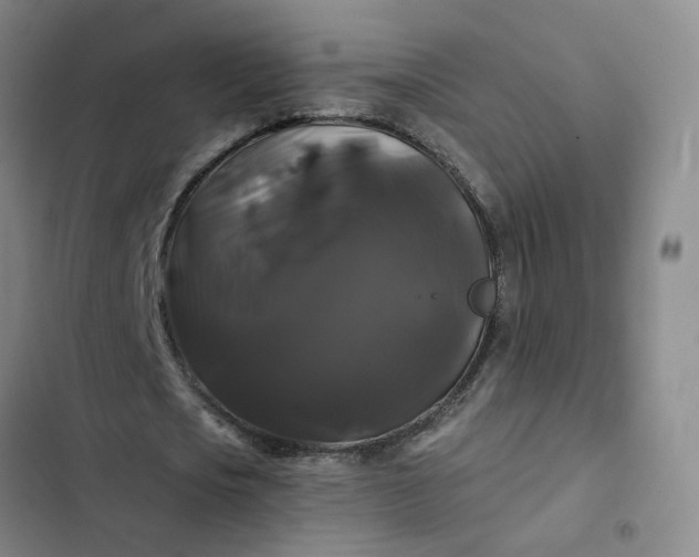 X0000102490721200808221730