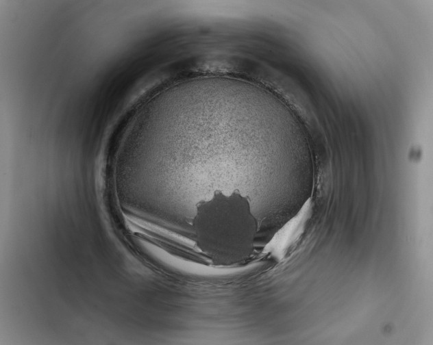 X0000102490722200808221730