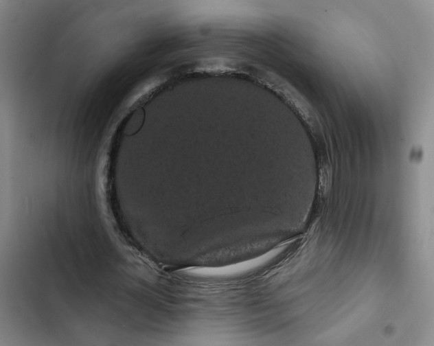 X0000102490724200808221730