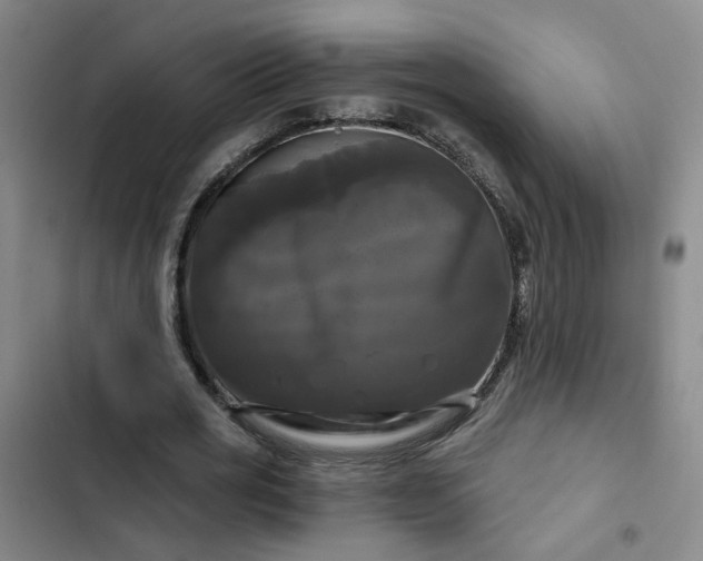 X0000102490725200808221730