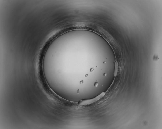 X0000102490728200808221730