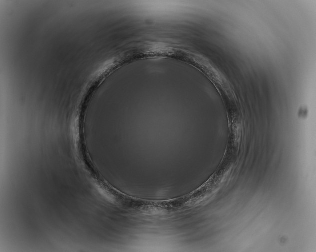 X0000102490729200808221730