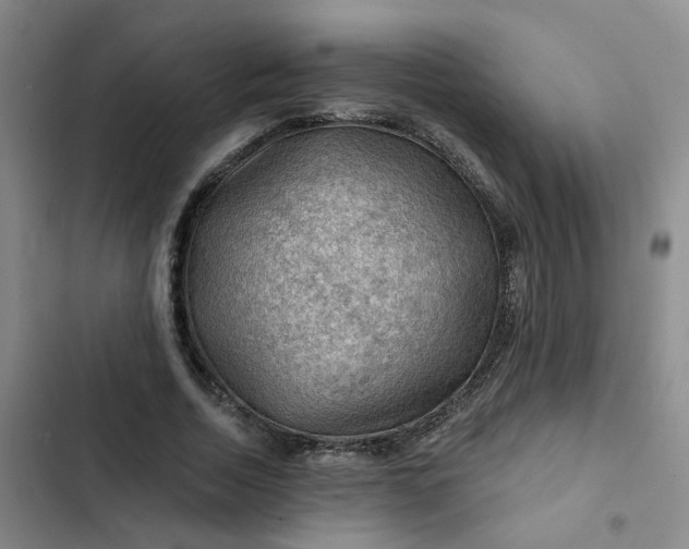 X0000102490730200808221730