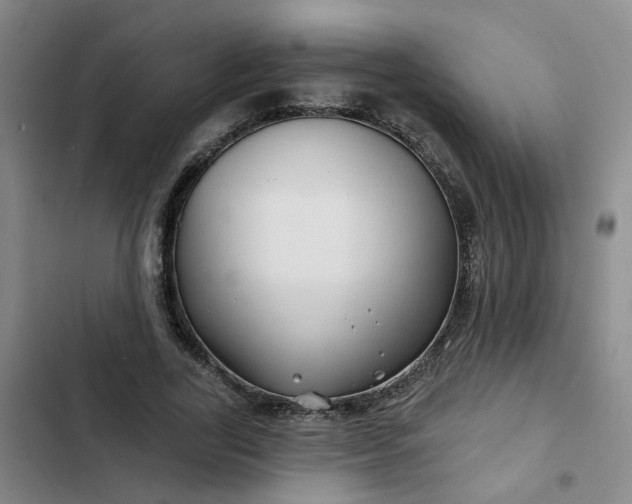 X0000102490731200808221730