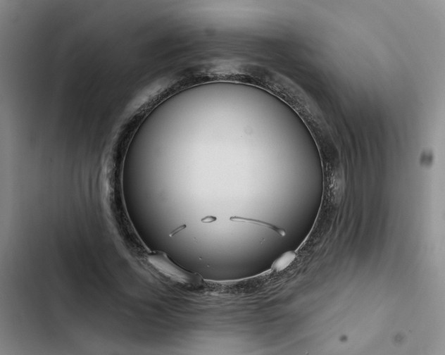 X0000102490732200808221730