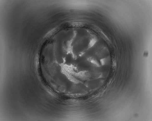 X0000102490733200808221730