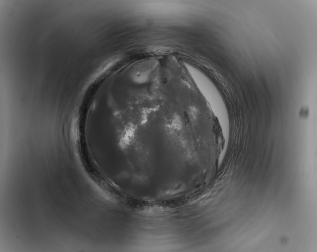 X0000102490734200808221730