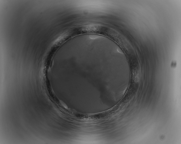 X0000102490735200808221730