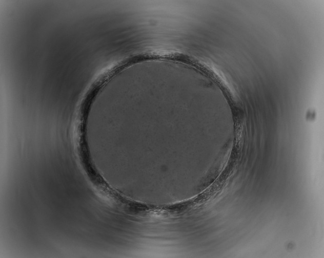 X0000102490736200808221730