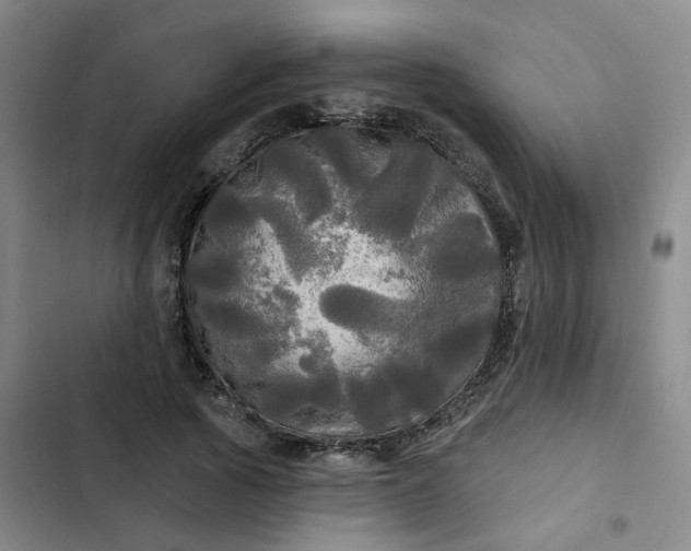 X0000102490737200808221730