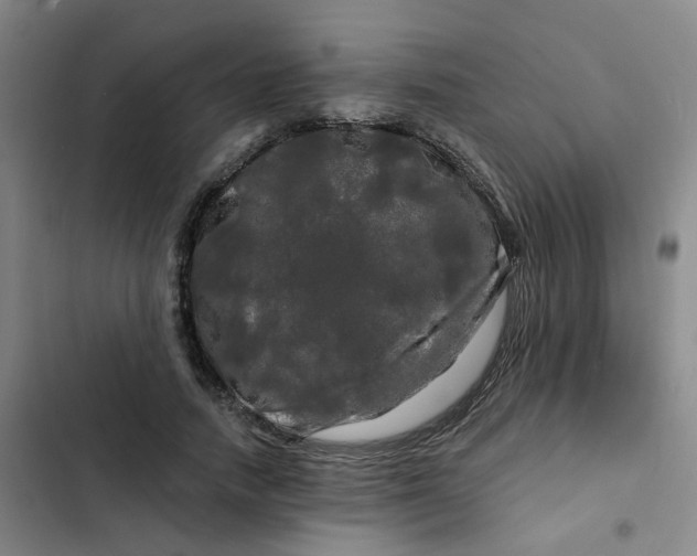 X0000102490738200808221730