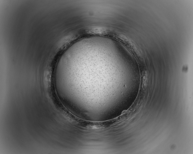 X0000102490739200808221730