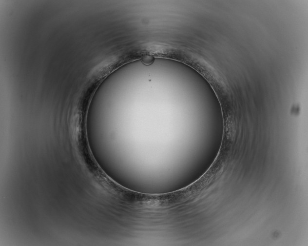 X0000102490740200808221730