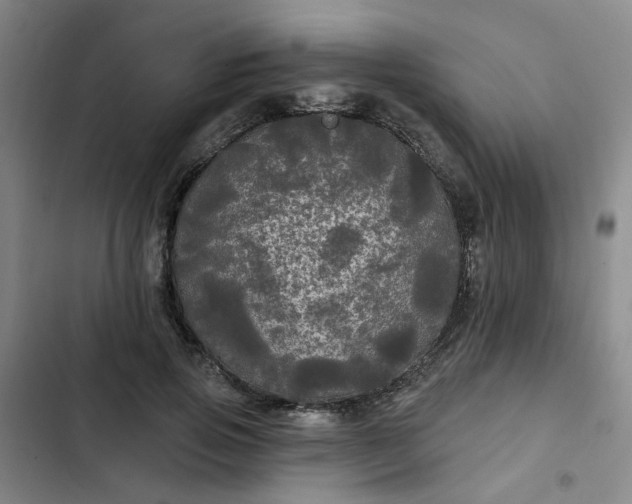 X0000102490741200808221730