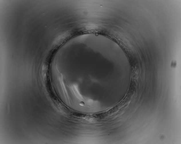 X0000102490742200808221730