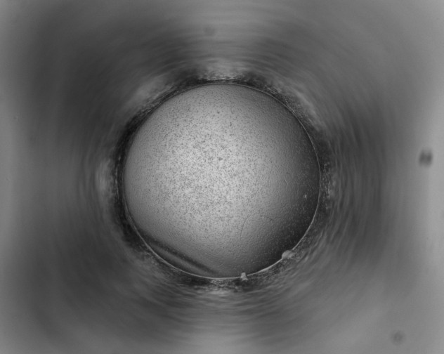 X0000102490743200808221730