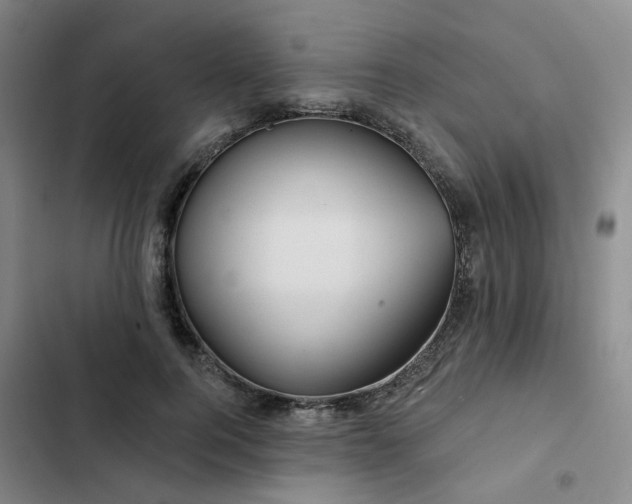 X0000102490744200808221730