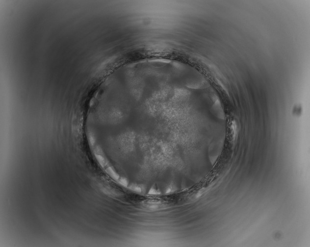 X0000102490745200808221730