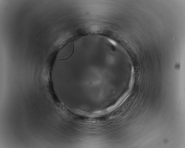 X0000102490746200808221730