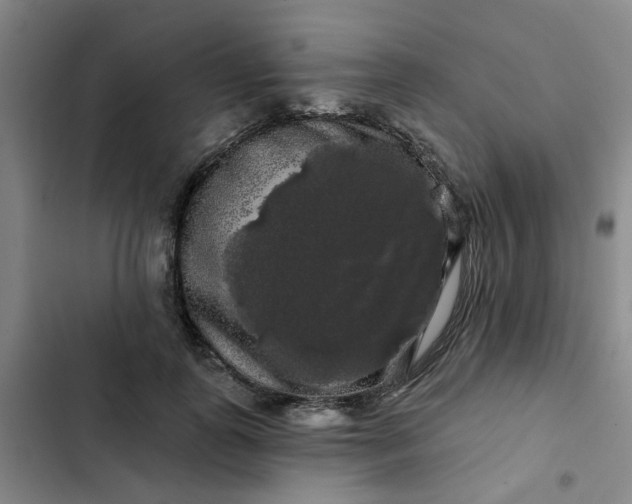 X0000102490747200808221730