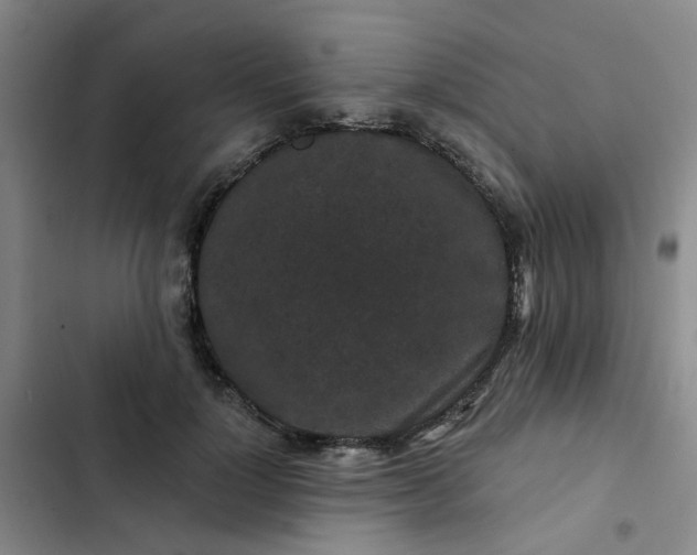 X0000102490748200808221730