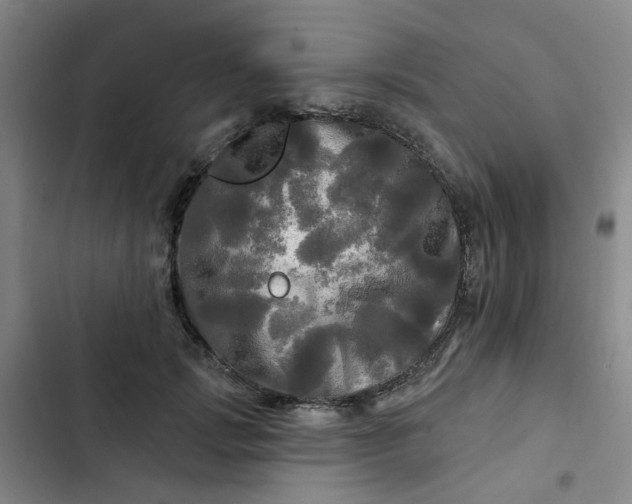 X0000102490749200808221730