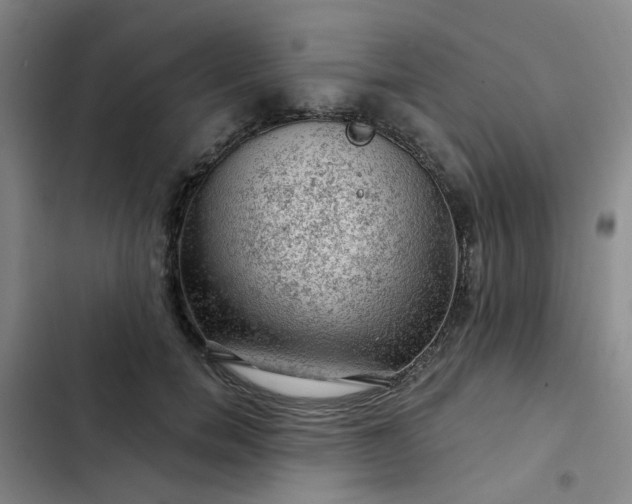 X0000102490750200808221730