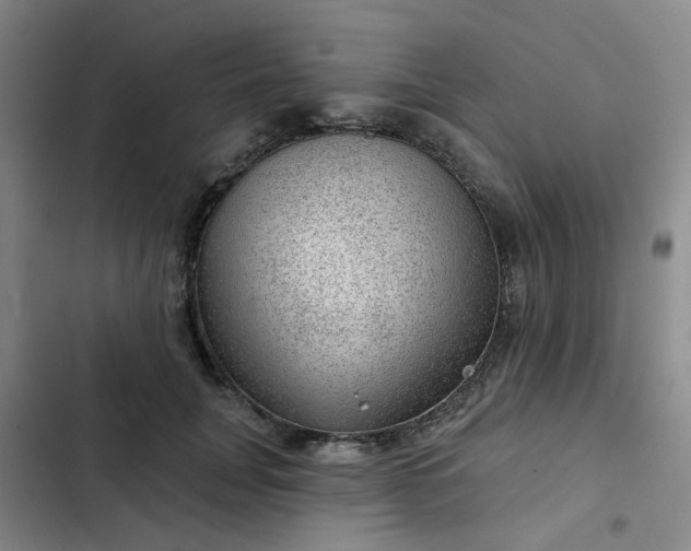 X0000102490751200808221730