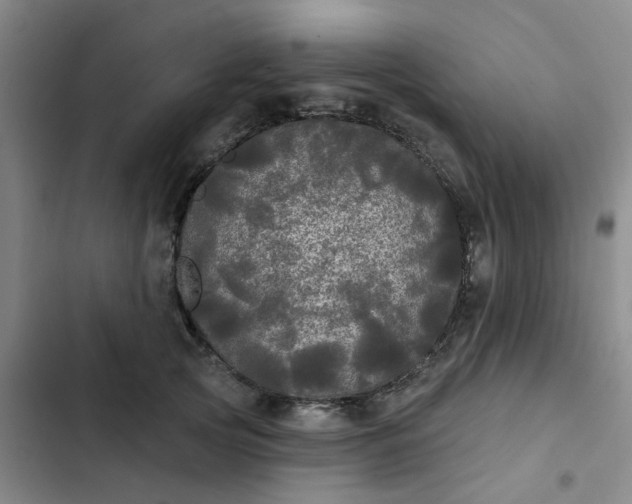 X0000102490753200808221730