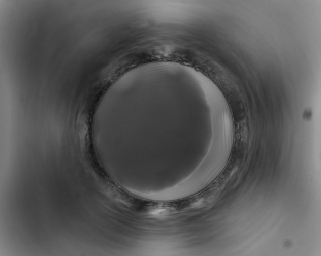 X0000102490754200808221730