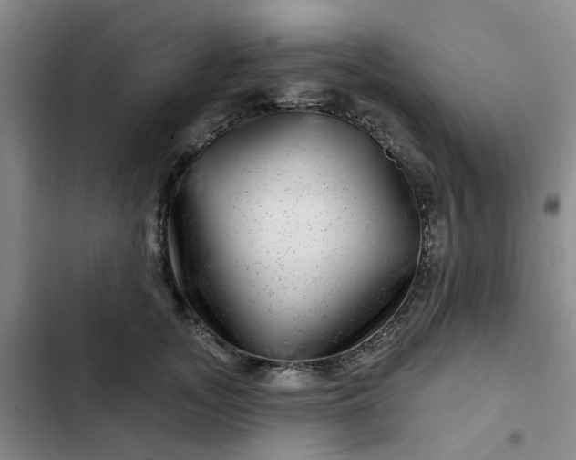 X0000102490755200808221730